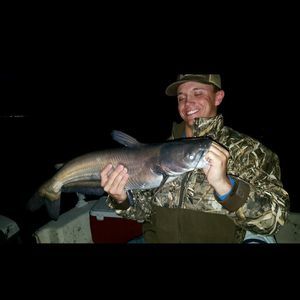 Meet your Posher, Dylan